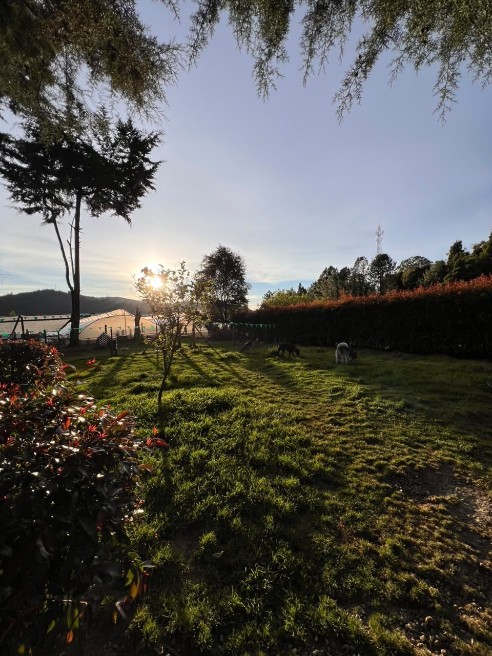 Vista completa del terreno de la guardería al atardecer